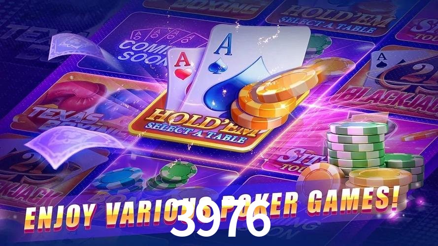 3976.com